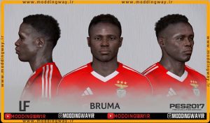 فیس Bruma 2025