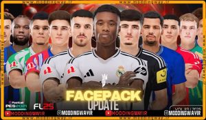 فیس پک FL25 Facepack Update v83