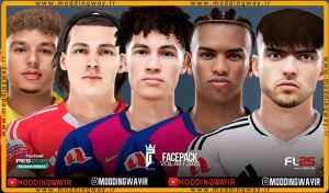 فیس پک FL25 Facepack Update v88