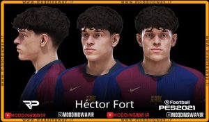 فیس Hector Fort