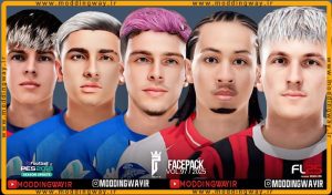 فیس پک FL25 Facepack Update v97