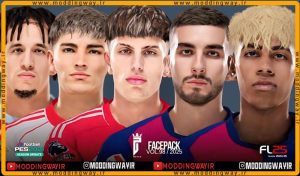 فیس پک FL25 Facepack Update v98