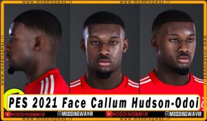 فیس Callum Hudson-Odoi