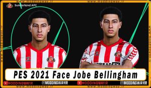 فیس Jobe Bellingham