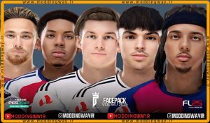 فیس پک FL25 Facepack Update v94