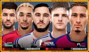 فیس پک FL25 Facepack Update v100