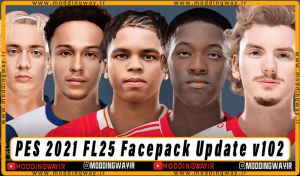 فیس پک FL25 Facepack Update v102 برای PES 2021