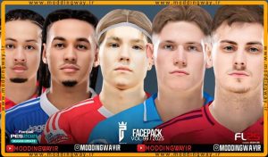 فیس پک FL25 Facepack Update v99