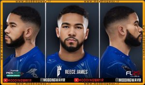 فیس Reece James