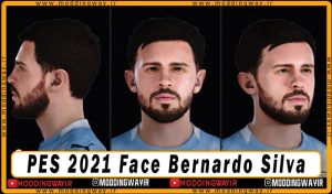 فیس Bernardo Silva