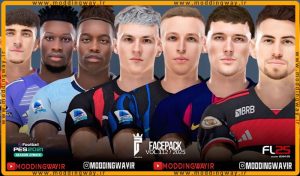 فیس پک FL25 Facepack Update v112