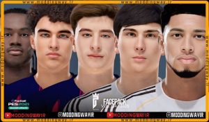 فیس پک FL25 Facepack Update v114