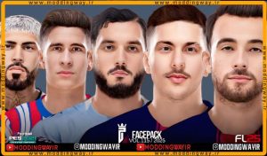 فیس پک FL25 Facepack Update v115