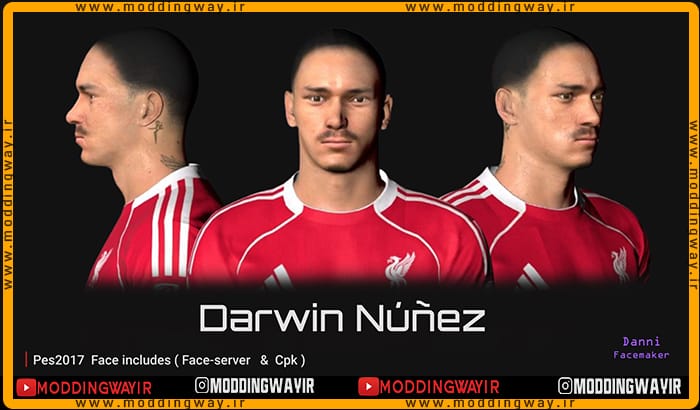فیس Darwin Nunez