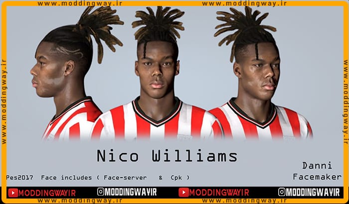 فیس Nico Williams
