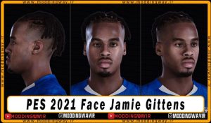 فیس Jamie Gittens