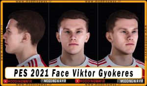 فیس Viktor Gyokeres