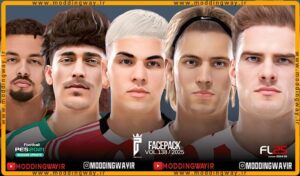 فیس پک FL25 Facepack Update v138