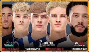 فیس پک FL25 Facepack Update v149