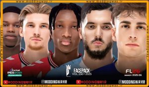 فیس پک FL25 Facepack Update v150