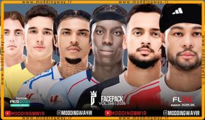 فیس پک FL26 Facepack Update v166