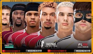 فیس پک FL26 Facepack Update v167