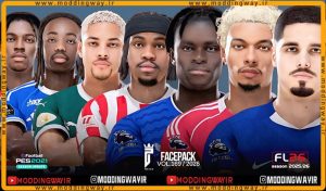فیس پک FL26 Facepack Update v169
