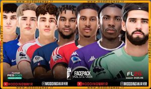 فیس پک FL26 Facepack Update v171